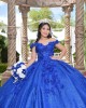 Off Shoulder Blue Quince Dresses Sequin Sweetheart Neck 15 Dress With 3D Flowers