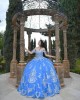 Off Shoulder Blue Quinceanera Dress Metallic Sequin Sweetheart Neck 15 Dresses