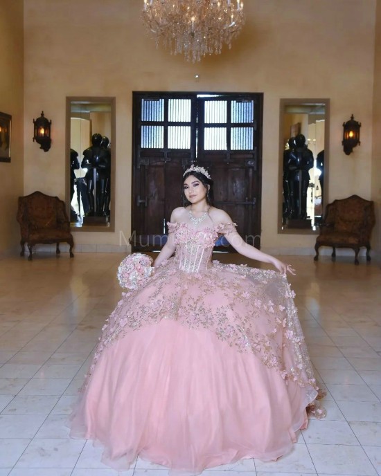 Off Shoulder Pink Quinceanera Dress Sheer Bodice Sweetheart Neck 15 Dresses With 3D Flowers