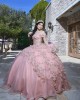 Off Shoulder Pink Quinceanera Dress Sheer Bodice Sweetheart Neck 15 Dresses With 3D Flowers