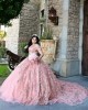 Off Shoulder Pink Quinceanera Dress Sweetheart Neck 3D Flowers 15 Dresses