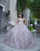 Off Shoulder Pink Quinceanera Dress V Neck Metallic Sequin 15 Dresses