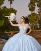 Off Shoulder Sky Blue Quinceanera Dress Lace Appliques Sweetheart Neck 15 Dresses With 3D Butterfly