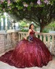 Sleeveless Burgundy Quince Dresses Metallic Sequin V Neck 15 Dress