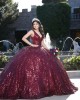 Sleeveless Burgundy Quince Dresses Metallic Sequin V Neck 15 Dress