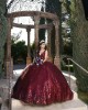 Sleeveless Burgundy Quince Dresses Metallic Sequin V Neck 15 Dress