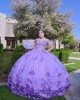 Sleeveless Lilac Quince Dresses Beading V Neck 15 Dress With 3D Flowers