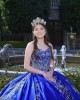 Sleeveless Navy Blue Quinceanera Dress Sweetheart Neck Metallic Sequin 15 Dresses