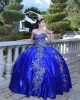 Sleeveless Navy Blue Quinceanera Dress Sweetheart Neck Metallic Sequin 15 Dresses