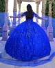 Spaghetti Strap Blue Quince Dresses Lace Appliques V Neck 15 Dress