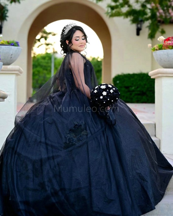 Sweetheart Neck Black Quinceanera Dress Sleeveless 15 Dresses