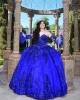 Sweetheart Neck Blue Quince Dresses Metallic Sequin Detachable 15 Dress