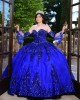 Sweetheart Neck Blue Quince Dresses Metallic Sequin Detachable 15 Dress