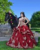 Sweetheart Neck Burgundy Quinceanera Dress Lace Appliques Sleeveless 15 Dresses