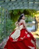 Sweetheart Neck Champagne On Red Quinceanera Dress Lace Appliques Sleeveless 15 Dresses