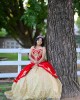 Sweetheart Neck Champagne On Red Quinceanera Dress Lace Appliques Sleeveless 15 Dresses