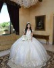 Sweetheart Neck Champagne Quinceanera Dress Metallic Sequin Off Shoulder 15 Dresses