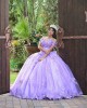 Sweetheart Neck Lilac Quinceanera Dress Metallic Sequin Off Shoulder 15 Dresses