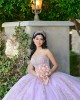 Sweetheart Neck Lilac Quinceanera Dress Sequin Lace Appliques Sleeveless 15 Dresses