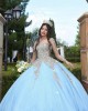 Sweetheart Neck Long Sleeve Sky Blue Quince Dresses Metallic Sequin 15 Dress