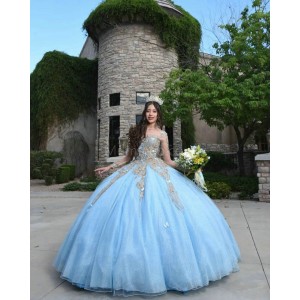 Sweetheart Neck Long Sleeve Sky Blue Quince Dresses Metallic Sequin 15 Dress