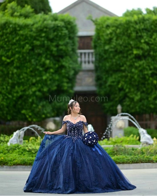 Sweetheart Neck Navy Blue Quinceanera Dress Metallic Sequin Off Shoulder 15 Dresses