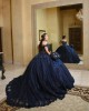 Sweetheart Neck Navy Blue Quinceanera Dress Metallic Sequin Off Shoulder 15 Dresses