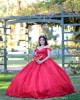 Sweetheart Neck Red Quinceanera Dress Metallic Sequin Off Shoulder 15 Dresses