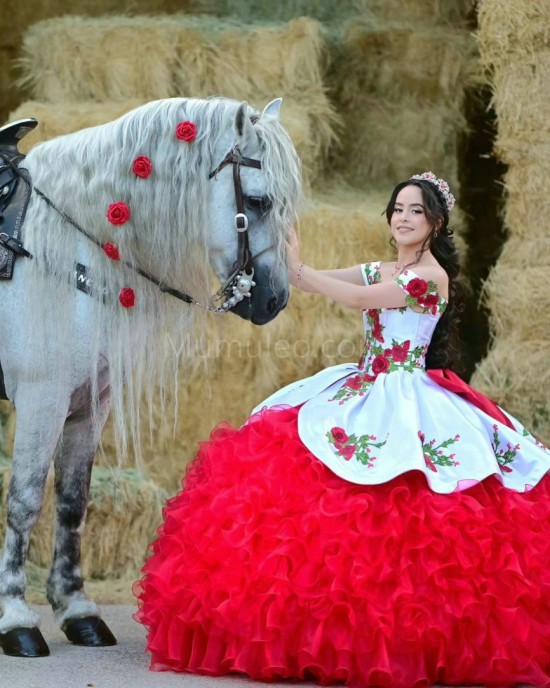 Sweetheart Neck Ruffled Red On White Quinceanera Dress Lace Appliques Sleeveless 15 Dresses