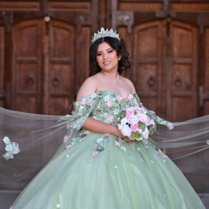 Sweetheart Neck Sage Green Quinceanera Dress Off Shoulder 15 Dresses With 3D Flowers