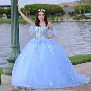 Sweetheart Neck Sky Blue Quinceanera Dress Lace Appliques Sleeveless 15 Dresses