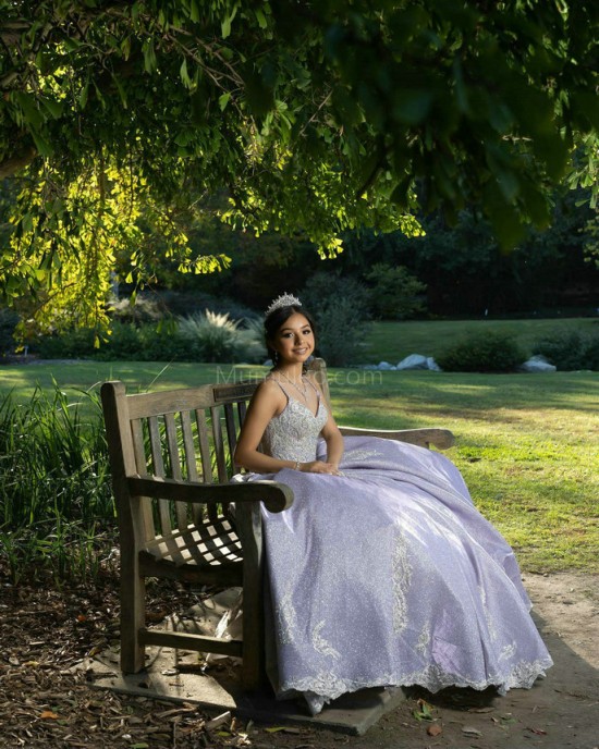 Cape Sleeve Lilac Quinceanera Dresses V Neck Lace Appliques Ball Gown 15 Dress