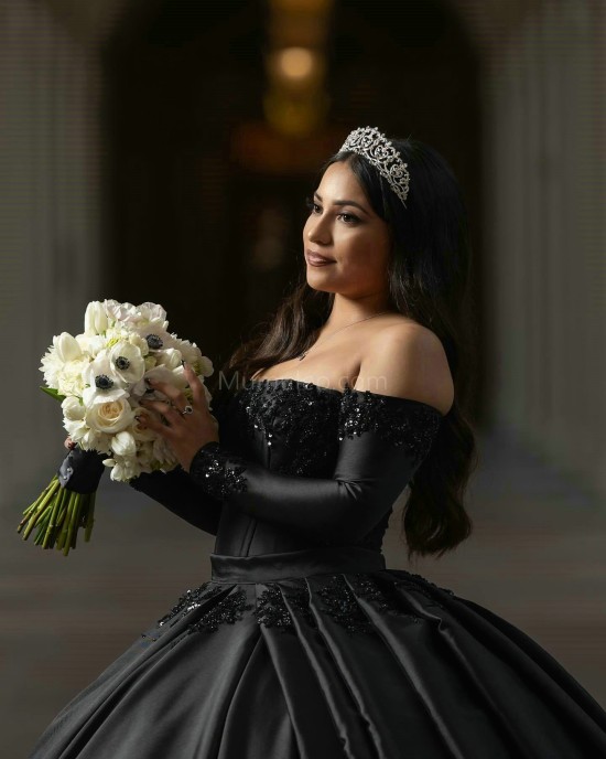 Long Sleeve Black Quinceanera Dresses Lace Appliques Square Collar 15 Dress