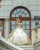 Long Sleeve Champagne Quinceanera Dresses Sweetheart Neck Lace Appliques 15 Dress