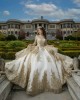 Long Sleeve Champagne Quinceanera Dresses Sweetheart Neck Lace Appliques 15 Dress