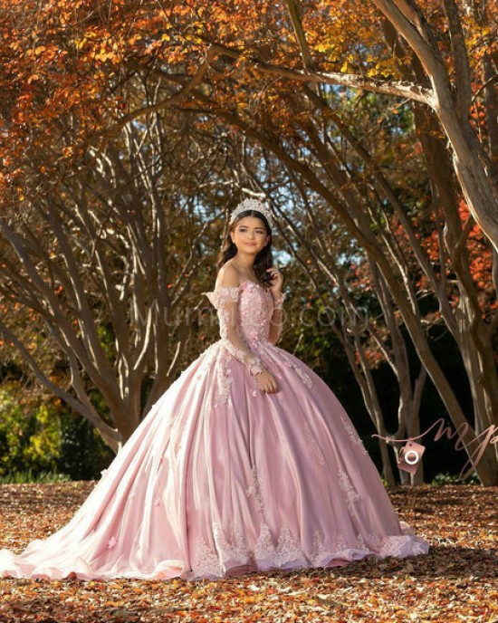 Long Sleeve Pink Quinceanera Dresses Sweetheart Neck Lace Appliques 15 Dress