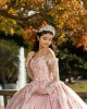 Long Sleeve Pink Quinceanera Dresses Sweetheart Neck Lace Appliques 15 Dress