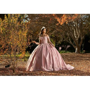 Long Sleeve Pink Quinceanera Dresses Sweetheart Neck Lace Appliques 15 Dress