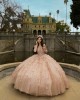 Long Sleeve Rose Gold Quinceanera Dresses V Neck 15 Dress With 3D Flowers