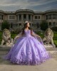 Off Shoulder Lilac Quinceanera Dresses V Neck Beading 15 Dress With 3D Flowers