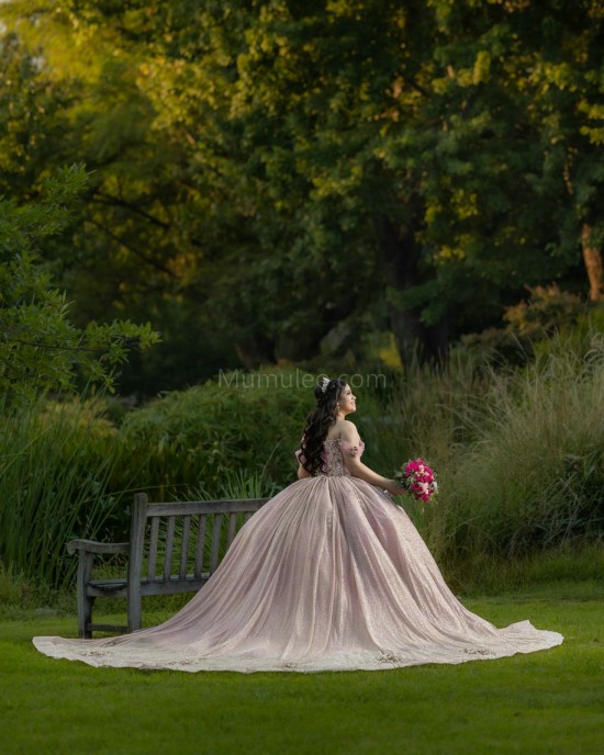 Off Shoulder Pink Quinceanera Dresses Lace Appliques Sweetheart Neck 15 Dress