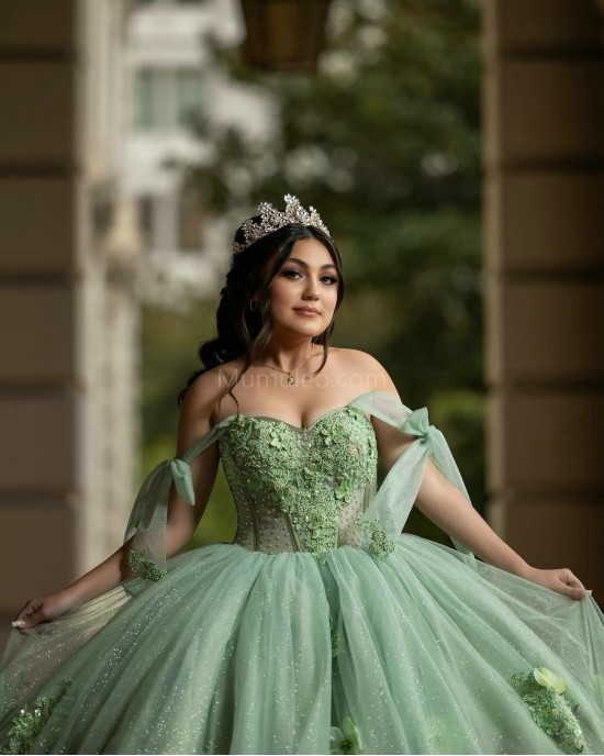 Off Shoulder Sage Green Quinceanera Dresses Sweetheart Neck Beading 15 Dress With 3D Flowers