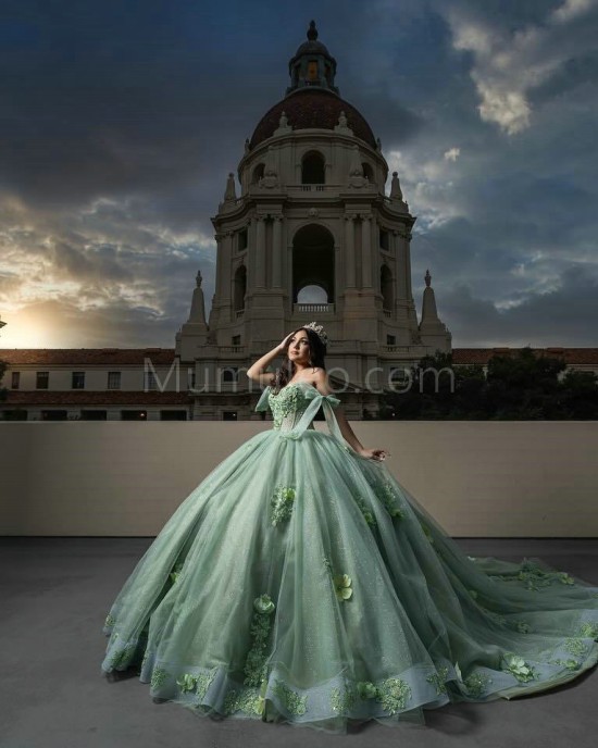 Off Shoulder Sage Green Quinceanera Dresses Sweetheart Neck Beading 15 Dress With 3D Flowers