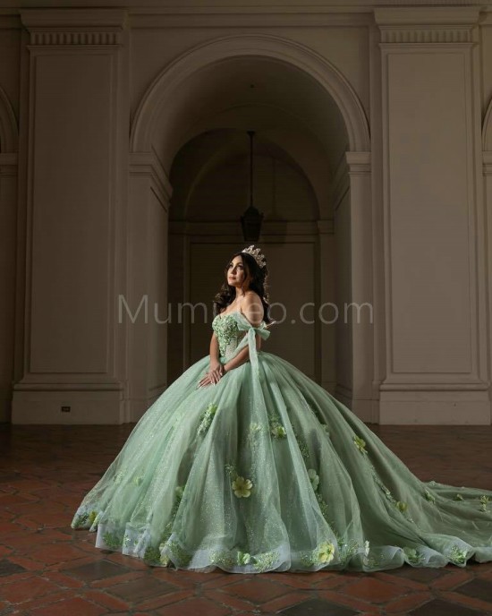 Off Shoulder Sage Green Quinceanera Dresses Sweetheart Neck Beading 15 Dress With 3D Flowers