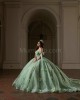 Off Shoulder Sage Green Quinceanera Dresses Sweetheart Neck Beading 15 Dress With 3D Flowers