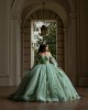 Off Shoulder Sage Green Quinceanera Dresses Sweetheart Neck Beading 15 Dress With 3D Flowers