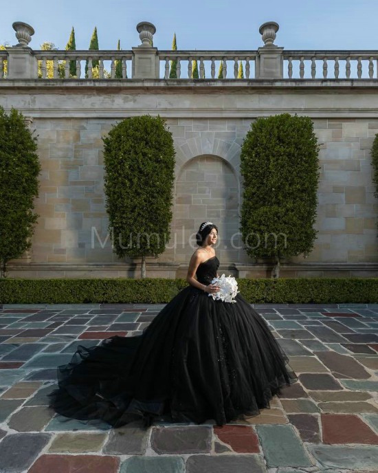 Sleeveless Black Quinceanera Dresses Square Collar 15 Dress