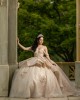 Sleeveless Champagne Quinceanera Dresses Lace Appliques Sweetheart Neck 15 Dress