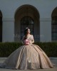 Sleeveless Champagne Quinceanera Dresses Lace Appliques V Neck 15 Dress