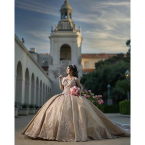 Sleeveless Champagne Quinceanera Dresses Lace Appliques V Neck 15 Dress